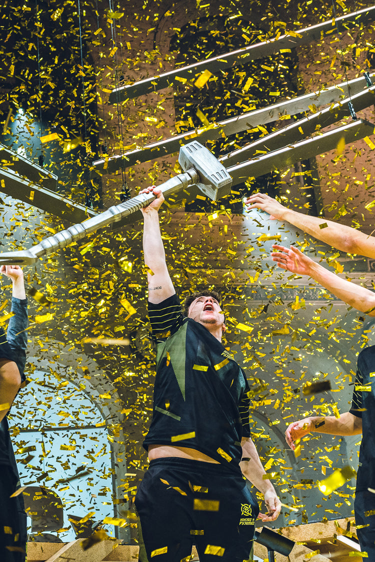 Ninjas in Pyjamas | NIP | PLAYER | SI21_CAMPIONS